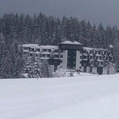 Apartman Nikolic 418