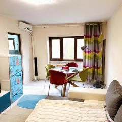 Garsonieră Spațioasă și Liniștită