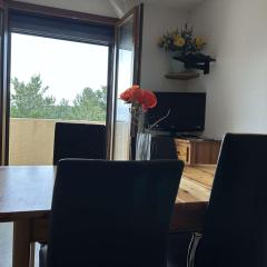 Appt 2 pièces, 4 couchages, Saint-Pierre-la-Mer, parking, vue panoramique - FR-1-229D-172