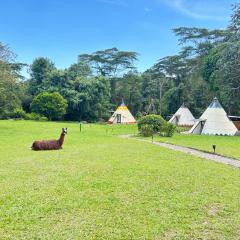 Bosque de Aventura & Glamping El Faro