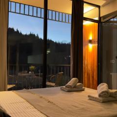 Didveli Gallery Bakuriani B202 დიდველი გალერეა ბაკურიანი B202