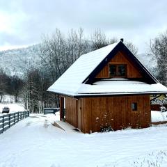 Cichosza domki w Szczyrku