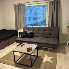 Functional studio in the center