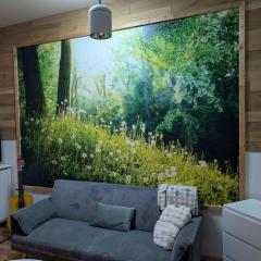 Isny Zentrum Studio Appartement