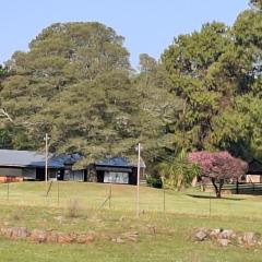 AmaZeng farmhouse Mustang
