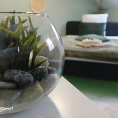 HONOR - Green Room NEU RENOVIERT