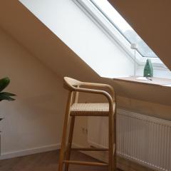 Dachgeschosswohnung im Stadtzentrum für 4 Personen