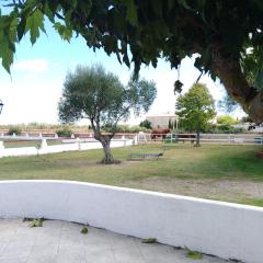 Appartement avec jardinet dans mas équestre