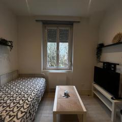 # Le 12 # Joli F2 neuf, centre