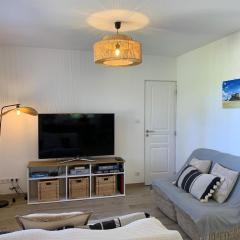 Villa Graine des pins, 14 personnes, proche Océan