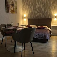 Luxury flat near Opera 3