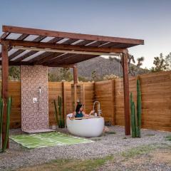 Desert Flora By The Cohost Company