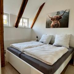 Robbe beim Ochsenturm am Deich