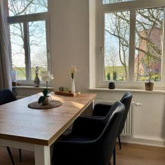 Seelöwe beim Ochsenturm am Deich