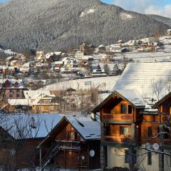 Близнюки Готель