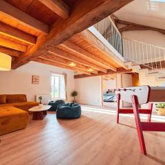 Gîte champêtre avec animaux admis à Chassignolles - FR-1-591-768