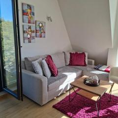 Apartman PANORAMA Green Hills Divčibare