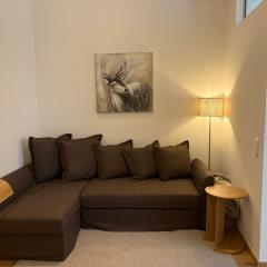 Mitten in der Altstadt und der Thermenregion, neu und ruhig