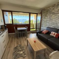 Apartment for 4 people near the slopes