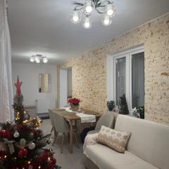 Ski and relax apartment - Voineasa