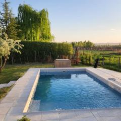 Cabaña cuadro benegas