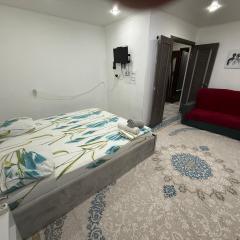 1 - комнатные квартиры в районе Жд вокзала