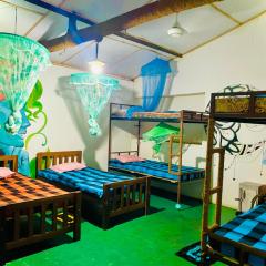 Dub & Drum hostel