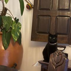 Desapegue & Viva Bed and Breakfast