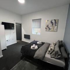 Modern Studio Central WV1 Appt 4