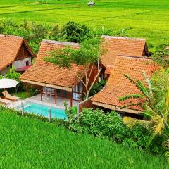 Rumah Tengah Sawah Bali