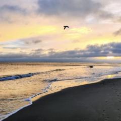 Apartmenthaus-Usedom "Kajüte 6" Sonnenuntergang an der Ostsee