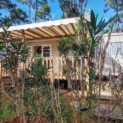 3 Bedroom Nice Stacaravan In Saint-Julien-En-Born