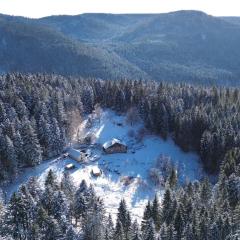 Gite à la ferme aux Alpagas