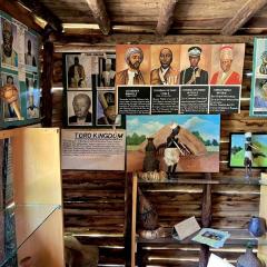 Mabamba shoebill Nature Smart Center