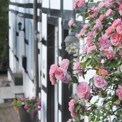 Ferienwohnung Küsterland