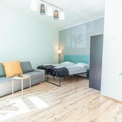 Discover Danube and Prater Stern from Our 1BR Gem