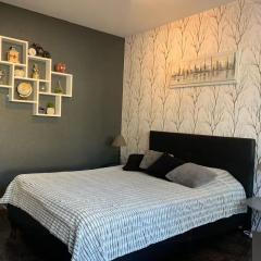 beau T1 30 résidence sécurisée proche centre ville parking privé wifi