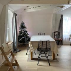 Les baleines - hypercentre 2 chambres avec garage et clim - air conditioning