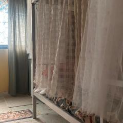 The Peach Villa Female Bunkhouse