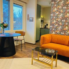 Kotoisa yksiö Imatrankoskella