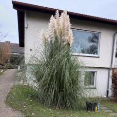 3-Zimmer Einliegerwohnung- Komfort & Ruhe in bester Lage