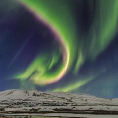 Pálína Cottage studio