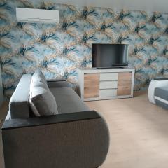 Будинок з сауною та чаном