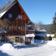 Ferienwohnung Seeblick Nr 1 ,Feldberg Bärental
