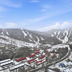 The refuge of the slopes, ski in, ski out