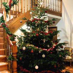 Retraite nature - Maison 150 m2 avec parking privé, balcon, brasero & ping-pong