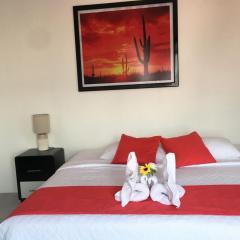 Piqueros patas azules