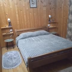 Карпатські ночі