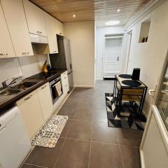 Cozy studio 2 steps from Geneva