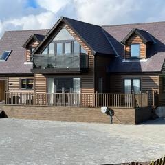 Modern timber clad house